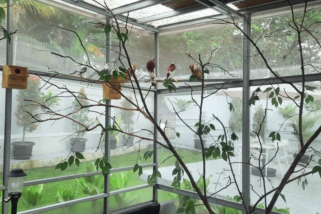 Garden Villa By Villapedia Bogor Exterior foto